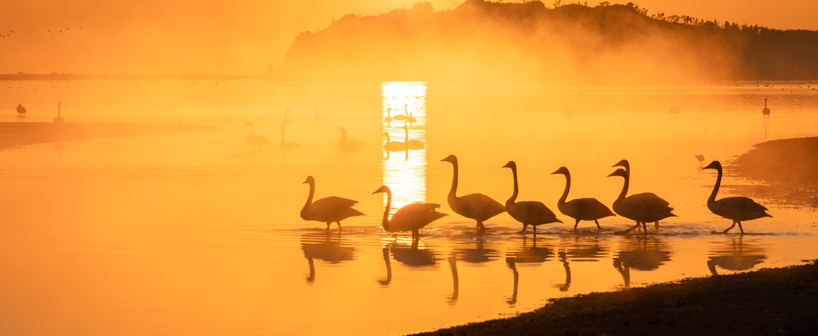 中国威海（荣成）自然生态摄影展征稿启事